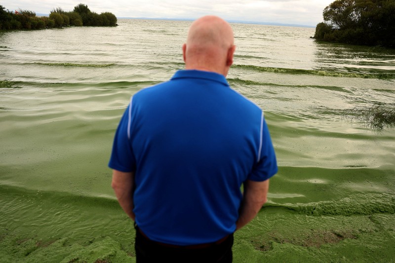 Alga biru-hijau yang mekar, juga dikenal sebagai cyanobacteria, terdampar di Battery Harbour di Lough Neagh di Cookstown, Irlandia Utara, 19 Agustus 2025. Alga biru-hijau yang mekar, juga dikenal sebagai cyanobacteria, terdampar di Battery Harbour di Lough Neagh di Cookstown, Irlandia Utara, 19 Agustus 2025. (REUTERS/Cathal McNaughton)