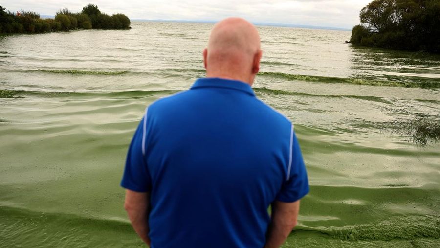Alga biru-hijau yang mekar, juga dikenal sebagai cyanobacteria, terdampar di Battery Harbour di Lough Neagh di Cookstown, Irlandia Utara, 19 Agustus 2025. Alga biru-hijau yang mekar, juga dikenal sebagai cyanobacteria, terdampar di Battery Harbour di Lough Neagh di Cookstown, Irlandia Utara, 19 Agustus 2025. (REUTERS/Cathal McNaughton)