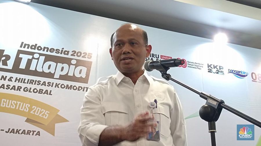Dirjen Perikanan Budidaya KKP, TB Haeru Rahayu saat ditemui usai acara Outlook Tilapia Indonesia tahun 2025 di kantor KKP, Jakarta, Kamis (28/8/2025). (CNBC Indonesia/Martyasari Rizki)