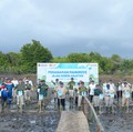 Konsisten Jaga Lingkungan, Pertamina Tanam 800 Pohon Mangrove