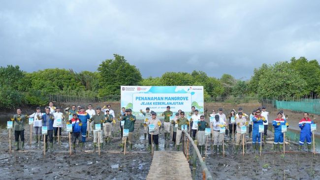 Konsisten Jaga Lingkungan, Pertamina Tanam 800 Pohon Mangrove