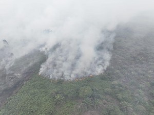 77 Hektare Lahan di Aceh Selatan Terbakar, Sumber Air jadi Kendala Pemadaman