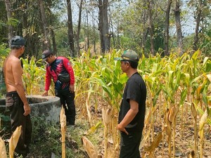 BPBD Ponorogo Petakan 18 Desa Rawan Kekeringan, Warga Diminta Waspada