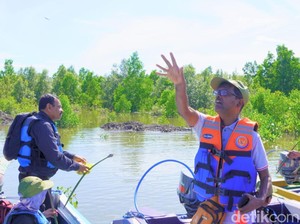 Sri Lanka Kagumi Cara Alami Desa Liagu Bulungan Kelola Mangrove