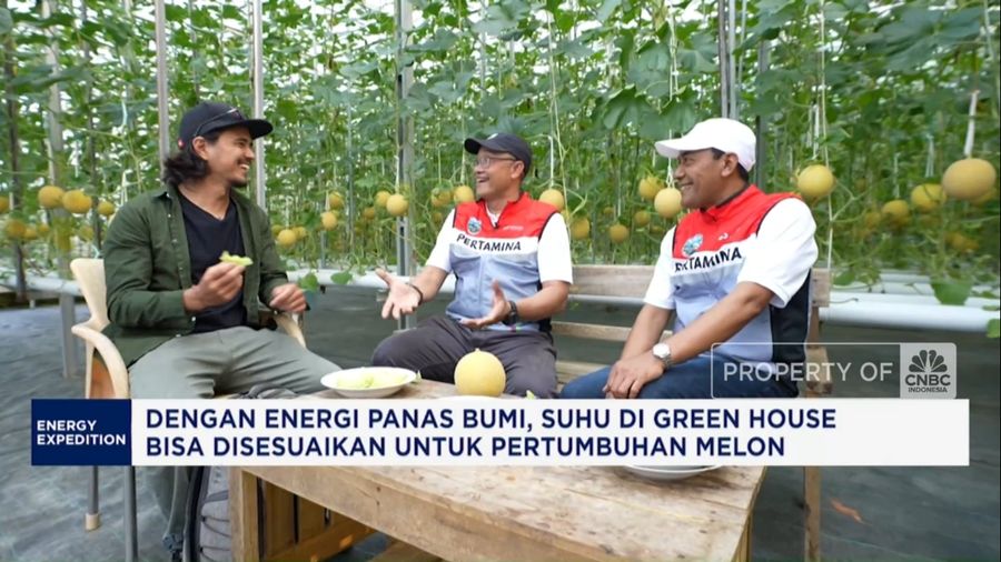 Melon Hidroponik Bisa Berbuah di Tempat Dingin, Pertamina Beri Rahasianya