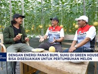 Video: Melon Hidroponik Subur di Tempat Dingin, Pertamina Beri Rahasia