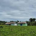 Menteri PU Bidik Sekolah Rakyat Tahap II Halmahera Barat Rampung 2026