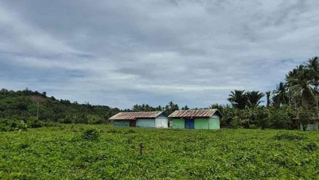 Menteri PU Bidik Sekolah Rakyat Tahap II Halmahera Barat Rampung 2026