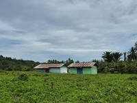Menteri PU Bidik Sekolah Rakyat Tahap II Halmahera Barat Rampung 2026