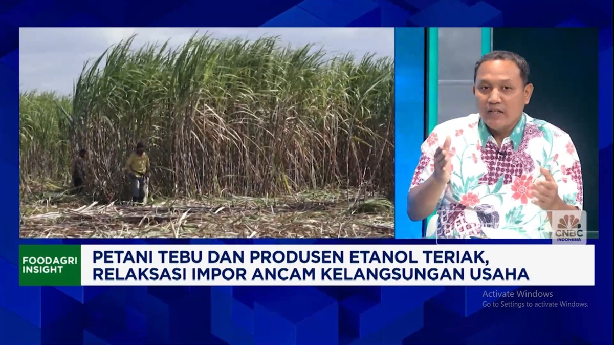 Video: Harga Gula Anjlok Tiap Tahun, Petani Menjerit Cari Solusi