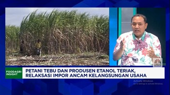 Video: Harga Gula Anjlok Tiap Tahun, Petani Menjerit Cari Solusi