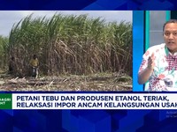 Video: Harga Gula Anjlok Tiap Tahun, Petani Menjerit Cari Solusi