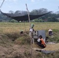Luas Panen Gadu Tembus 3 Juta Ha, Produksi Beras Diprediksi Naik 11%