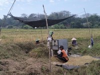 Luas Panen Gadu Tembus 3 Juta Ha, Produksi Beras Diprediksi Naik 11%