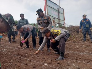 Polres Dumai-Kelompok Tani Kompak Tanam Jagung Wujudkan Ketahanan Pangan