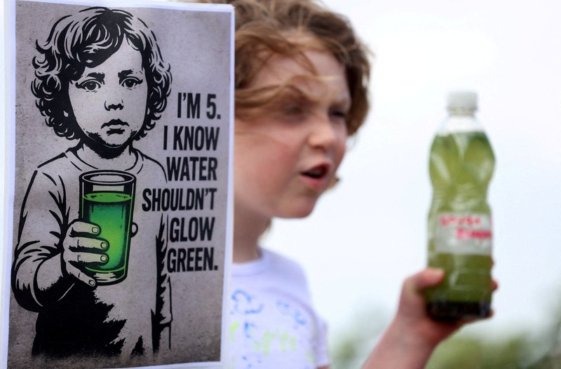 Alga biru-hijau yang mekar, juga dikenal sebagai cyanobacteria, terdampar di Battery Harbour di Lough Neagh di Cookstown, Irlandia Utara, 19 Agustus 2025. Alga biru-hijau yang mekar, juga dikenal sebagai cyanobacteria, terdampar di Battery Harbour di Lough Neagh di Cookstown, Irlandia Utara, 19 Agustus 2025. (REUTERS/Cathal McNaughton)
