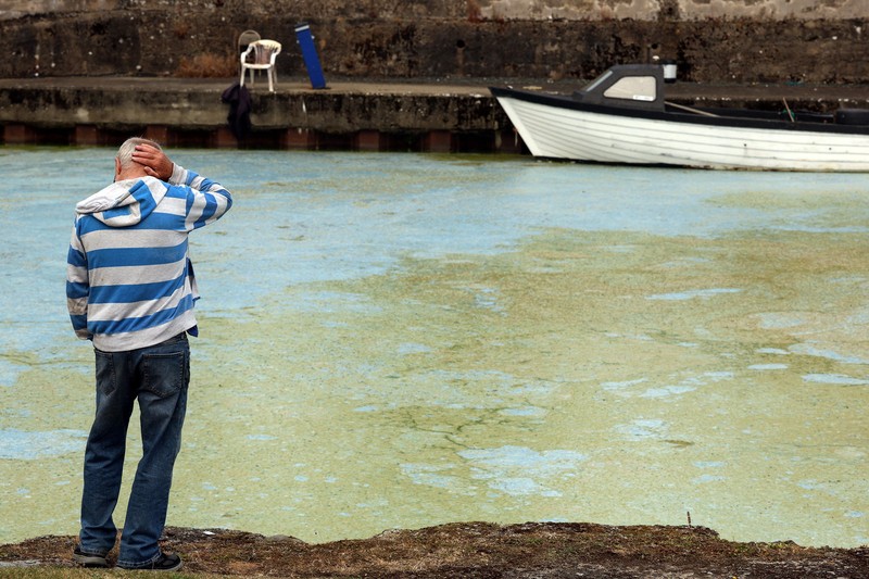 Alga biru-hijau yang mekar, juga dikenal sebagai cyanobacteria, terdampar di Battery Harbour di Lough Neagh di Cookstown, Irlandia Utara, 19 Agustus 2025. Alga biru-hijau yang mekar, juga dikenal sebagai cyanobacteria, terdampar di Battery Harbour di Lough Neagh di Cookstown, Irlandia Utara, 19 Agustus 2025. (REUTERS/Cathal McNaughton)