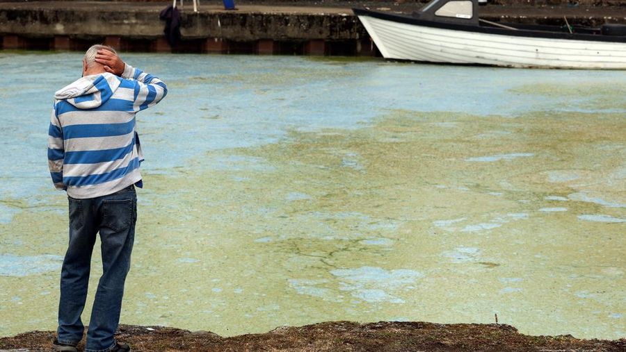 Alga biru-hijau yang mekar, juga dikenal sebagai cyanobacteria, terdampar di Battery Harbour di Lough Neagh di Cookstown, Irlandia Utara, 19 Agustus 2025. Alga biru-hijau yang mekar, juga dikenal sebagai cyanobacteria, terdampar di Battery Harbour di Lough Neagh di Cookstown, Irlandia Utara, 19 Agustus 2025. (REUTERS/Cathal McNaughton)