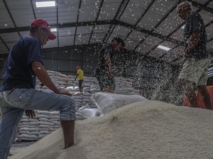 Hampir 30 Ribu Ton Beras di Gudang Bulog Turun Mutu, Paling Banyak dari Impor