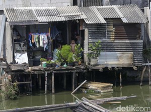 Cerita Ngeri Tinggal di Kampung Apung: Bayi Tenggelam hingga Digigit Ular