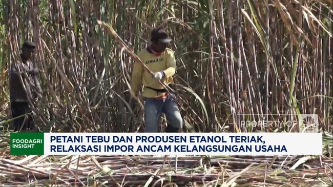 Video: Diancam Ethanol Impor, APSENDO Minta Permendag 16/2025 Ditunda