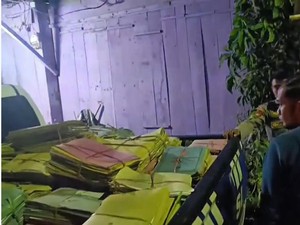 Pria Pembobol Kantor Dukcapil Mamasa-Gasak 1 Pikap Dokumen Diduga ODGJ
