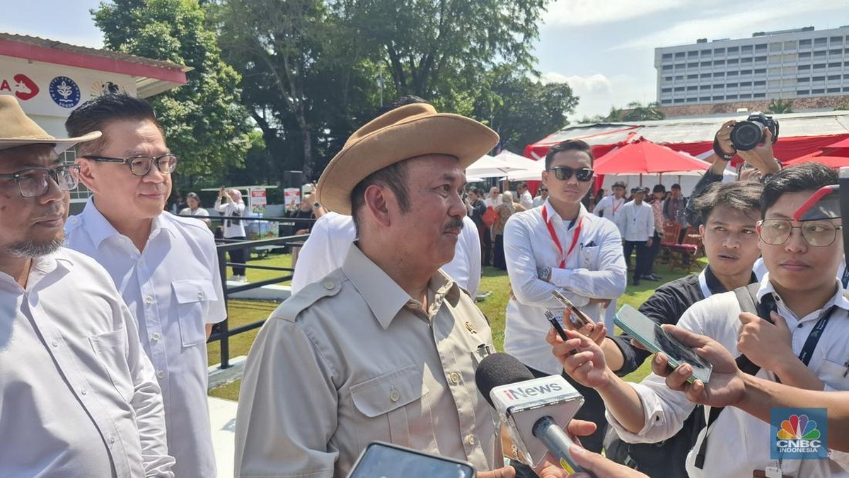 Ada Program Sapi Merah Putih, RI Tak Lagi Butuh Susu Impor?