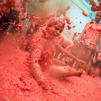 Festival Tomatina, Ribuan Orang Saling Lempar Tomat Gila-gilaan
