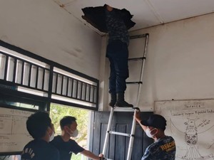 Damkar PALI Evakuasi Sarang Kelelawar di Plafon SDN 3 Tanah Abang