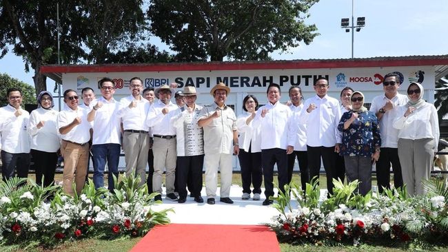 Dorong Swasembada Pangan, BRI Dukung Program Sapi Merah Putih