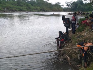 Penebang Kayu Hanyut di Sungai Progo Magelang