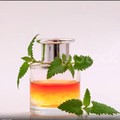 Harta Karun RI Ini Diburu Pecinta Parfum Dunia-Diincar Komunitas Ganja