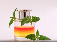 Harta Karun RI Ini Diburu Pecinta Parfum Dunia-Diincar Komunitas Ganja