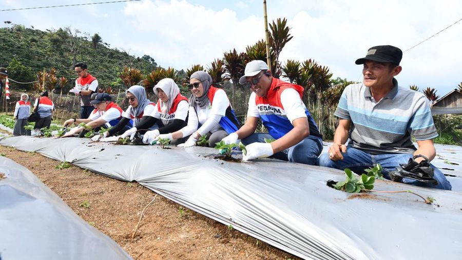 Pertamina