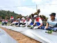 Top! Pertamina Resmikan Desa Energi Berdikari di Sumatera Selatan