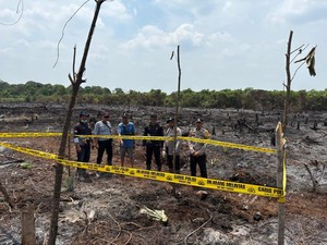 Bakar 2 Hektare Lahan untuk Ditanami Sawit, Pria di Inhil Ditangkap