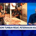 Video: Banyak PHK & Daya Beli Warga RI Turun, Peternak Ayam Merugi