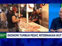 Video: Banyak PHK & Daya Beli Warga RI Turun, Peternak Ayam Merugi
