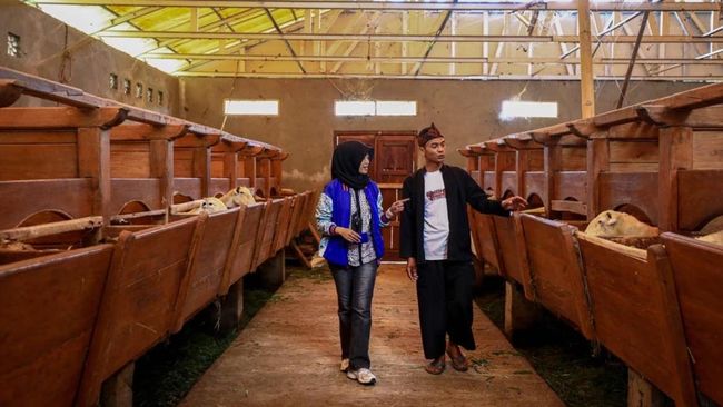 Penyaluran KUR BRI Dorong Setengah Juta UMKM Naik Kelas