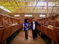 Penyaluran KUR BRI Dorong Setengah Juta UMKM Naik Kelas