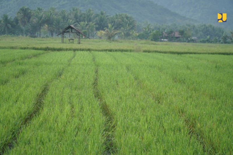 Kementerian Pekerjaan Umum terus mengoptimalkan layanan irigasi guna mendukung peningkatan produktivitas pertanian dan mewujudkan swasembada pangan. (Dok. PUPR)