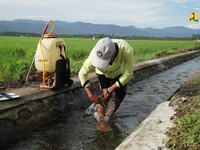 Fokus Ketahanan Pangan, PU Perbaiki Jaringan Irigasi di Maluku Utara