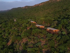 Unik! Safari Mewah di Afrika Selatan, Bayar Sukarela