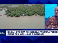 Video: Ada Proyek Giant Sea Wall, Ini Harapan Pengusaha Konstruksi