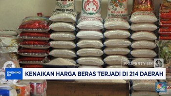 Video: Harga Beras Naik di 214 Daerah