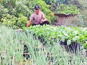 Kisah Aipda Agus Sulap Atap Rumah Jadi Lahan Berkebun