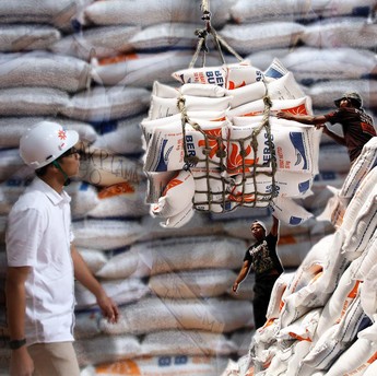 Peta Beras Indonesia, Produksi 2024-2025 dan Stok yang Tertahan