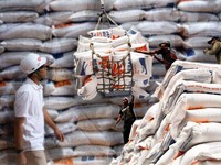 Peta Beras Indonesia, Produksi 2024-2025 dan Stok yang Tertahan