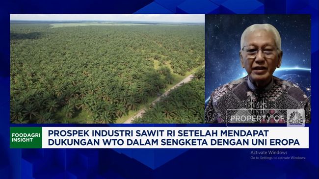 Video: Ada China-India, Pengusaha Sawit Tak "Gentar" Dijegal Uni Eropa