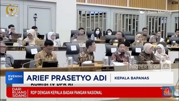 Video: Bos Bapanas Buka Suara Soal Bantuan Pangan Beras